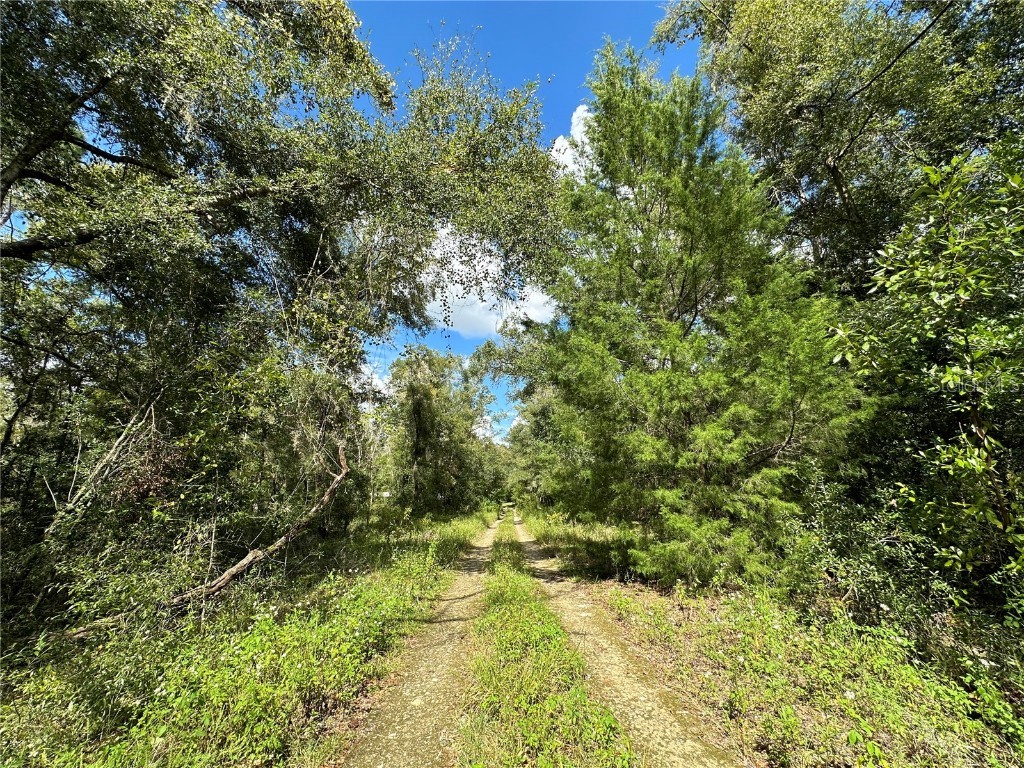 000 NE 156th Avenue Williston FL 32696 OM678209 image8