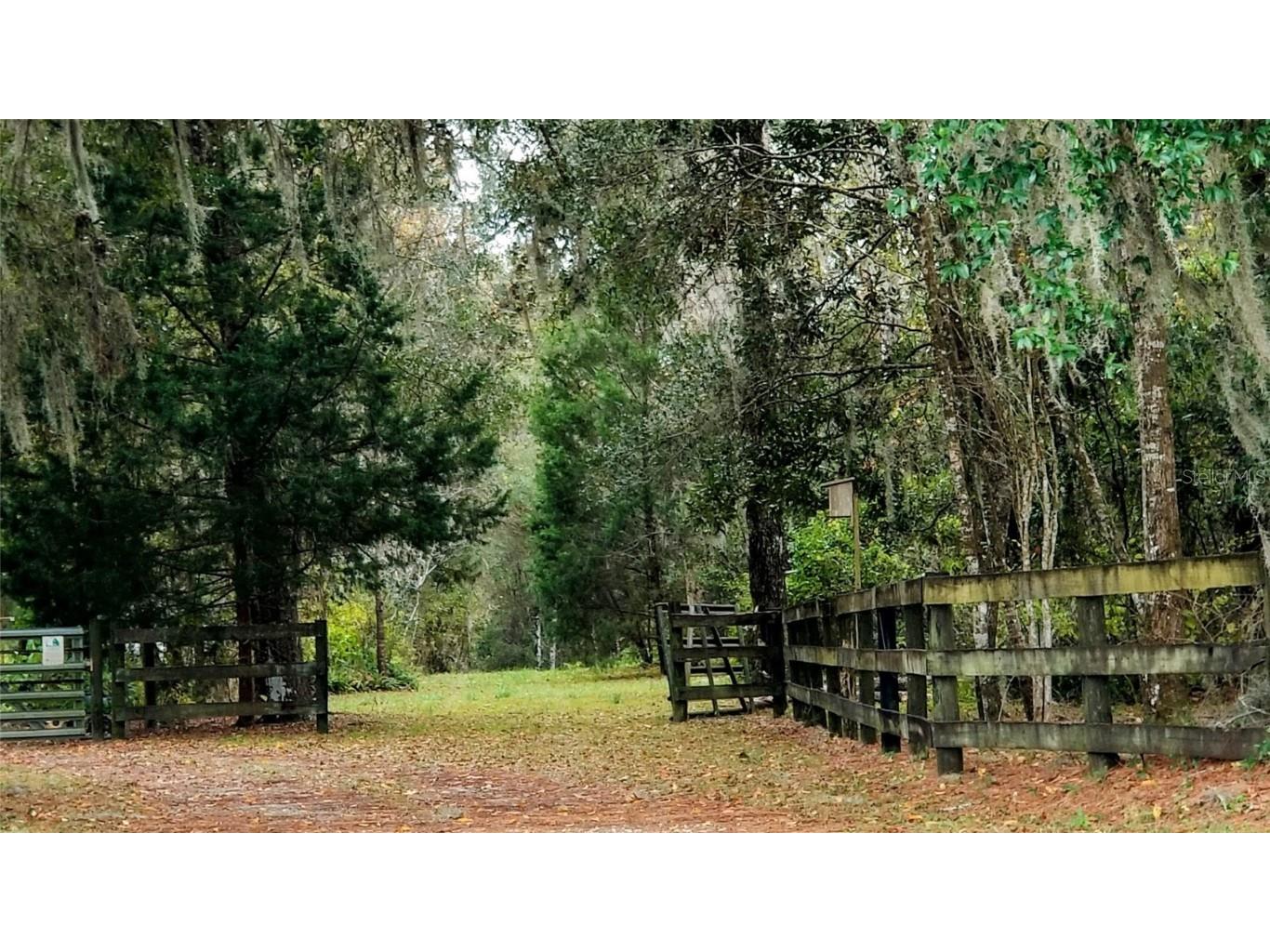 000 NE 164th Terrace Williston FL 32696 GC517951 image1