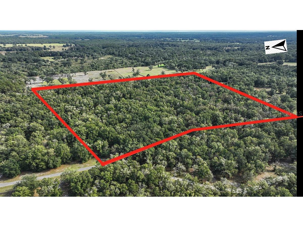 000 NE 167 Avenue Williston FL 32696 OM648850 image1