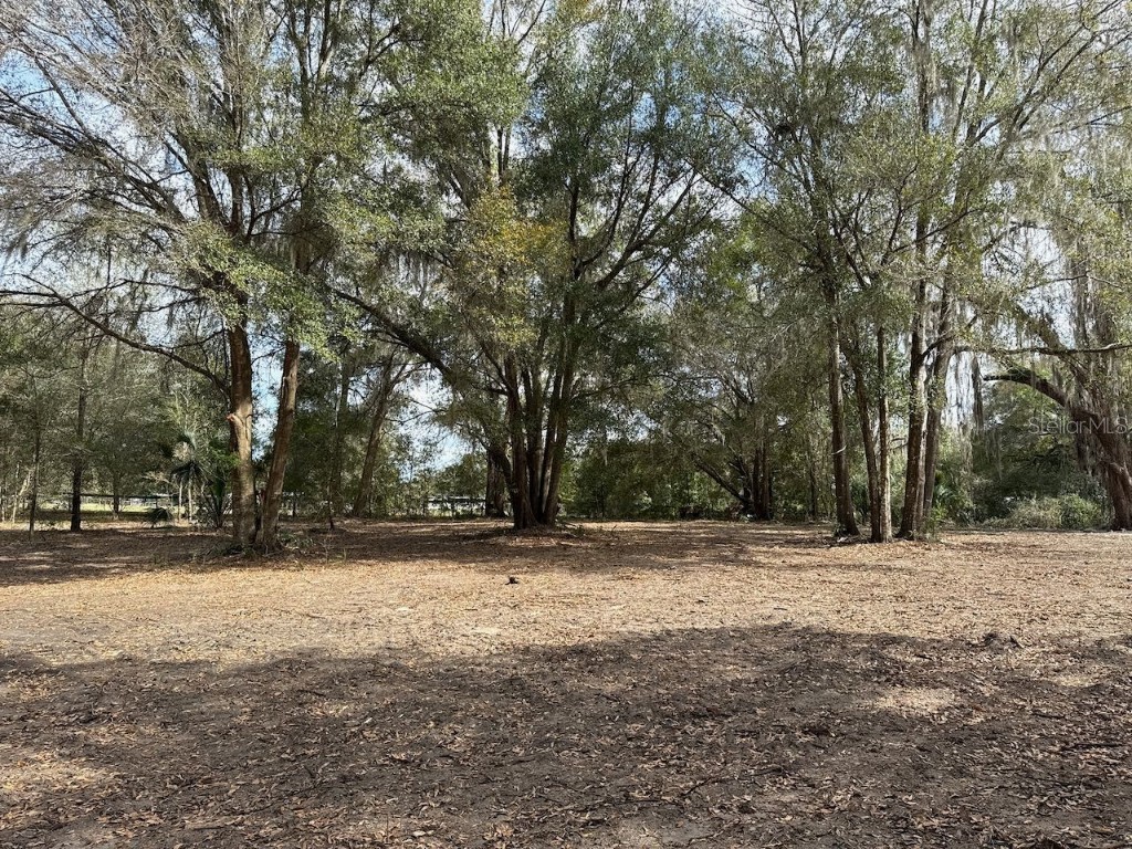 000 NE 184th Place Citra FL 32113 GC534006 image14