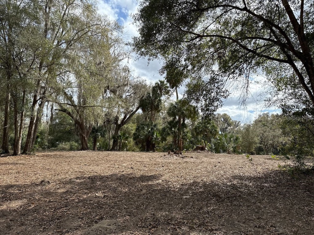 000 NE 184th Place Citra FL 32113 GC534006 image15