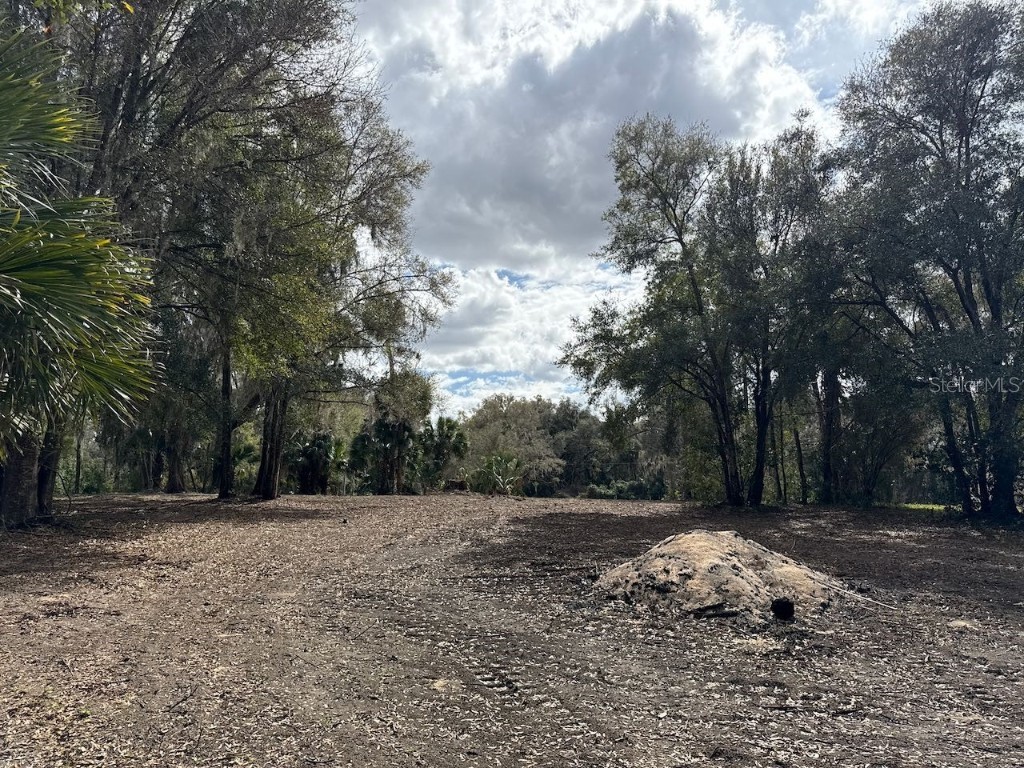 000 NE 184th Place Citra FL 32113 GC534006 image16