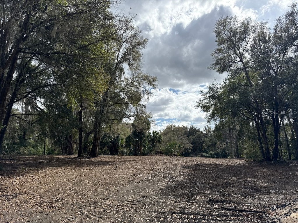 000 NE 184th Place Citra FL 32113 GC534006 image17