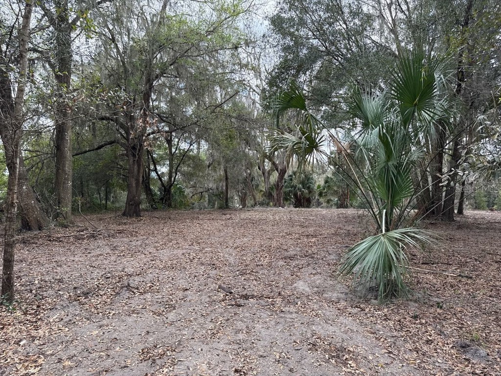 000 NE 184th Place Citra FL 32113 GC534006 image18