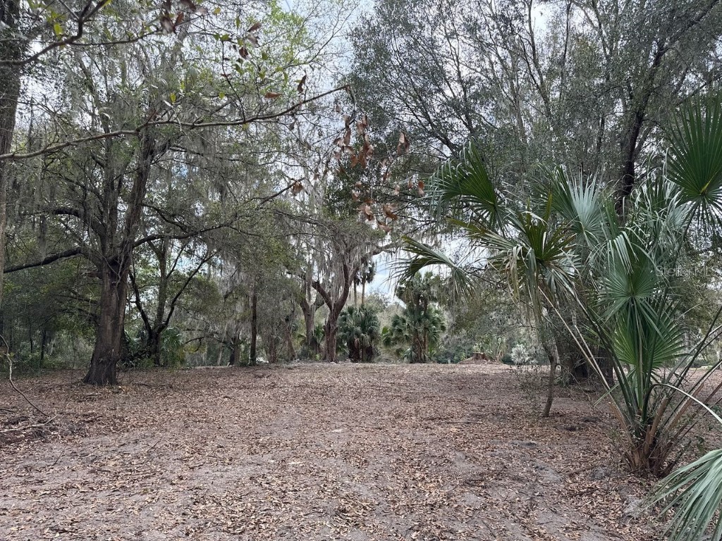 000 NE 184th Place Citra FL 32113 GC534006 image19