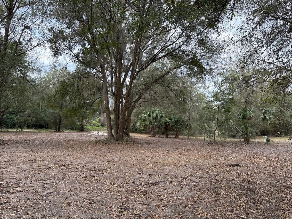 000 NE 184th Place Citra FL 32113 GC534006 image21