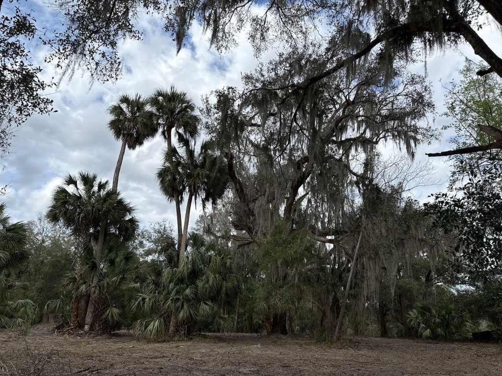 000 NE 184th Place Citra FL 32113 GC534006 image22