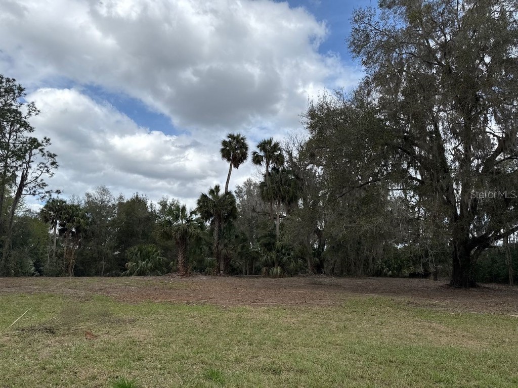 000 NE 184th Place Citra FL 32113 GC534006 image6