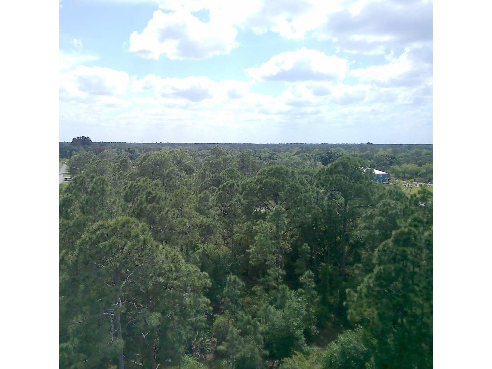 000 NE 189th Lane #LOT 19 Citra FL 32113 OM719287 image1