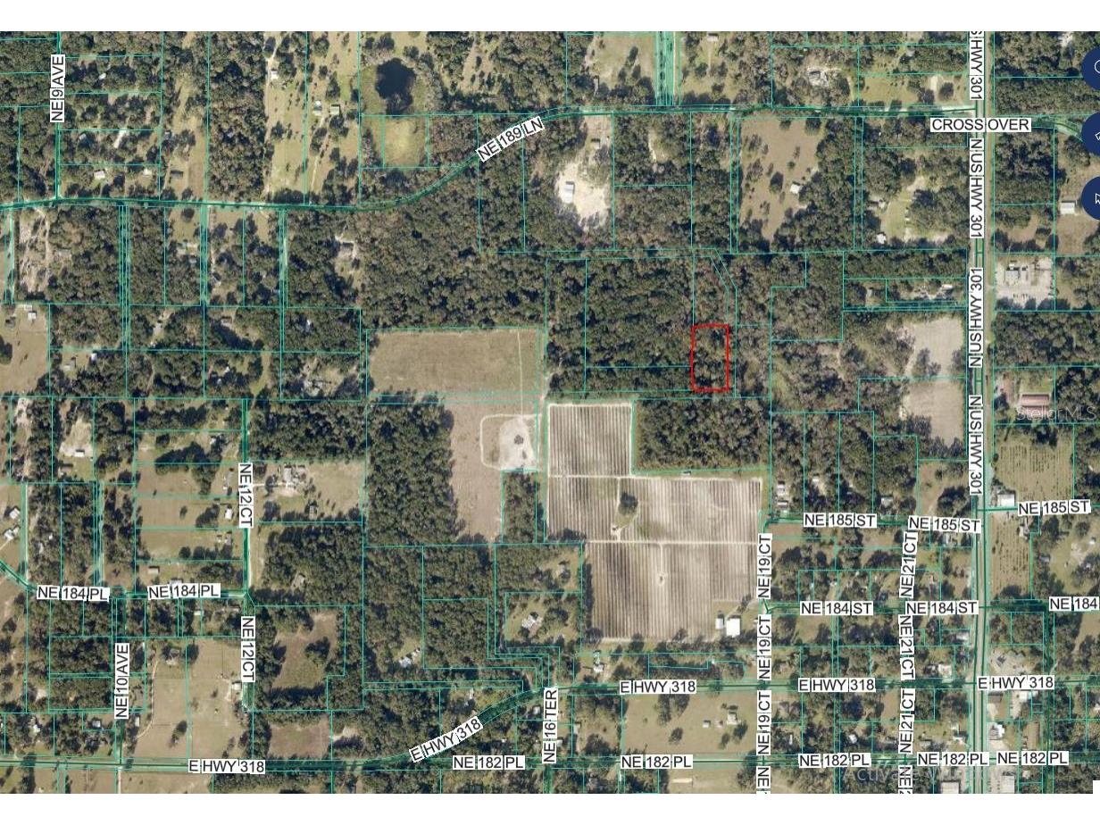 000 NE 189th Lane #LOT 19 Citra FL 32113 OM719287 image4