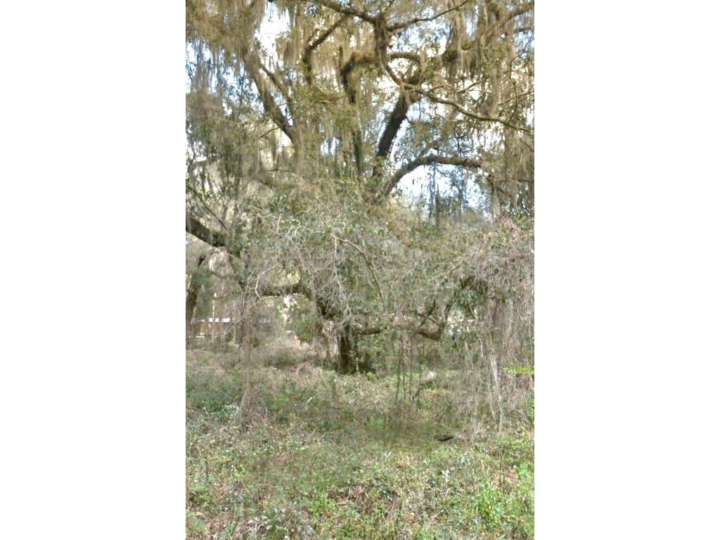 000 NE 192nd Place Citra FL 32113 OM678769 image1