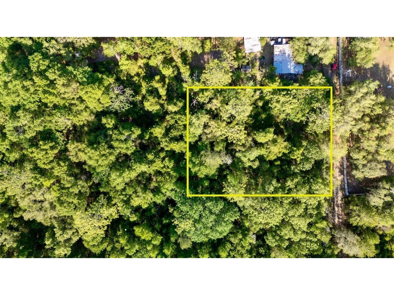 000 NE 206 Street Fort Mc Coy FL 32134 TB8378930 image1