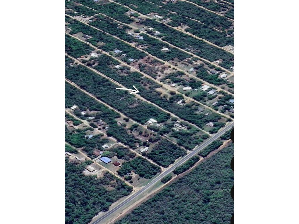 000 NE 238th Place Fort Mc Coy FL 32134 OM690230 image1