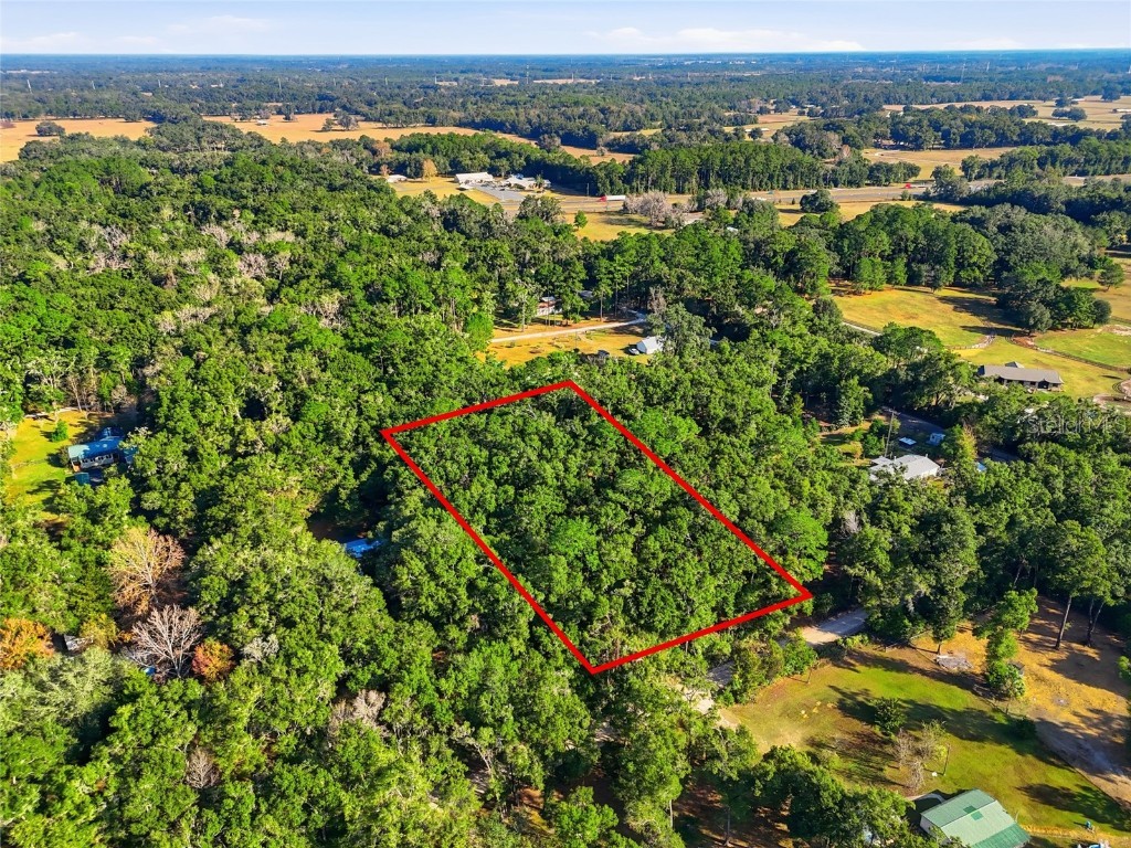 000 NE 40th Street Williston FL 32696 GC535857 image3