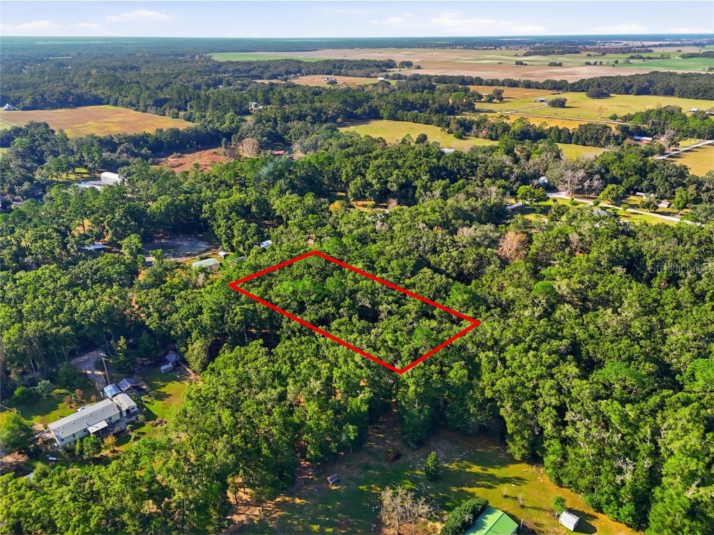 000 NE 40th Street Williston FL 32696 GC535857 image5