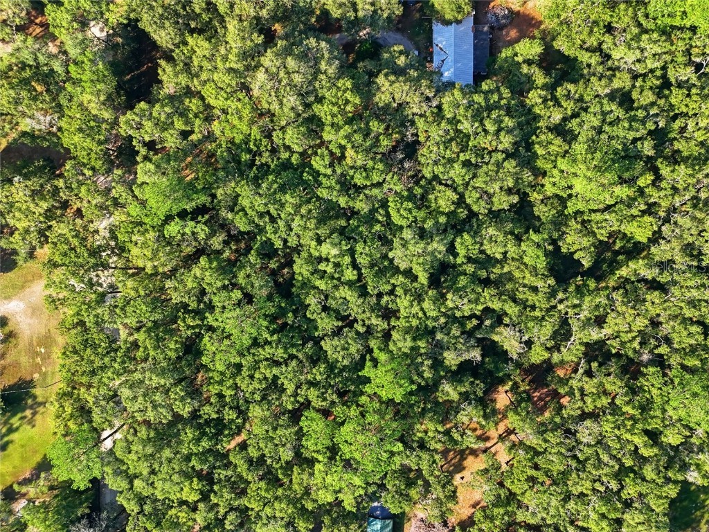 000 NE 40th Street Williston FL 32696 GC535857 image6