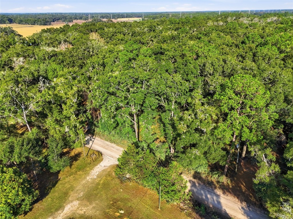 000 NE 40th Street Williston FL 32696 GC535857 image7