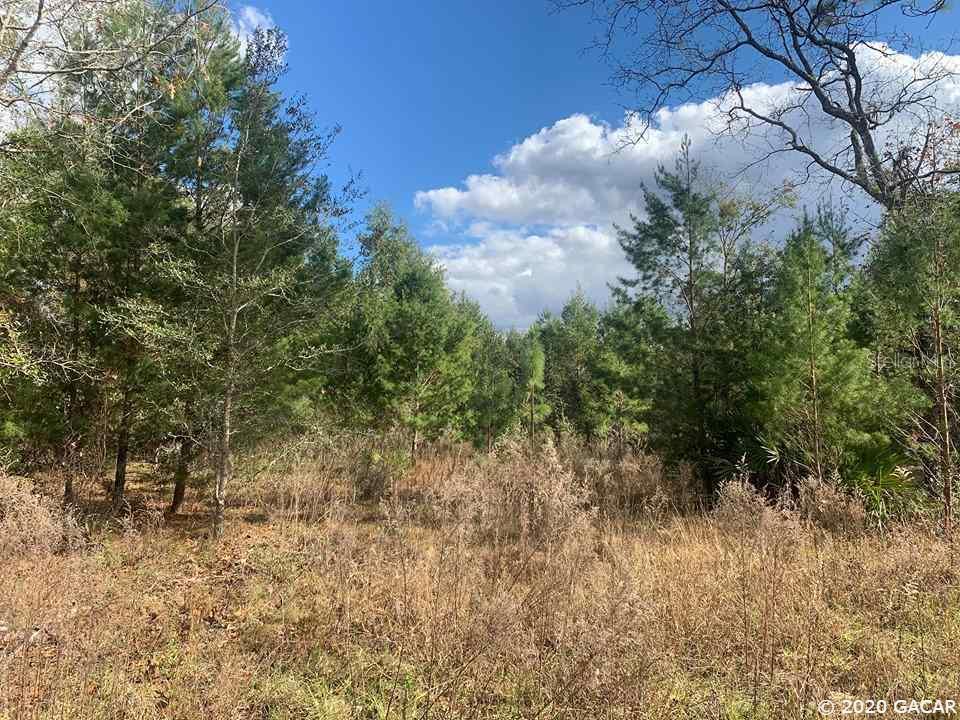 000 NE 43rd Ave Gainesville FL 32609 GC433936 image1