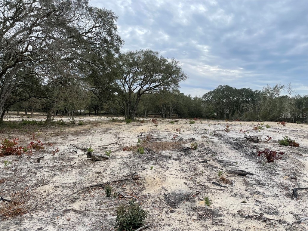 000 NE 72nd Place Bronson FL 32621 GC525578 image1