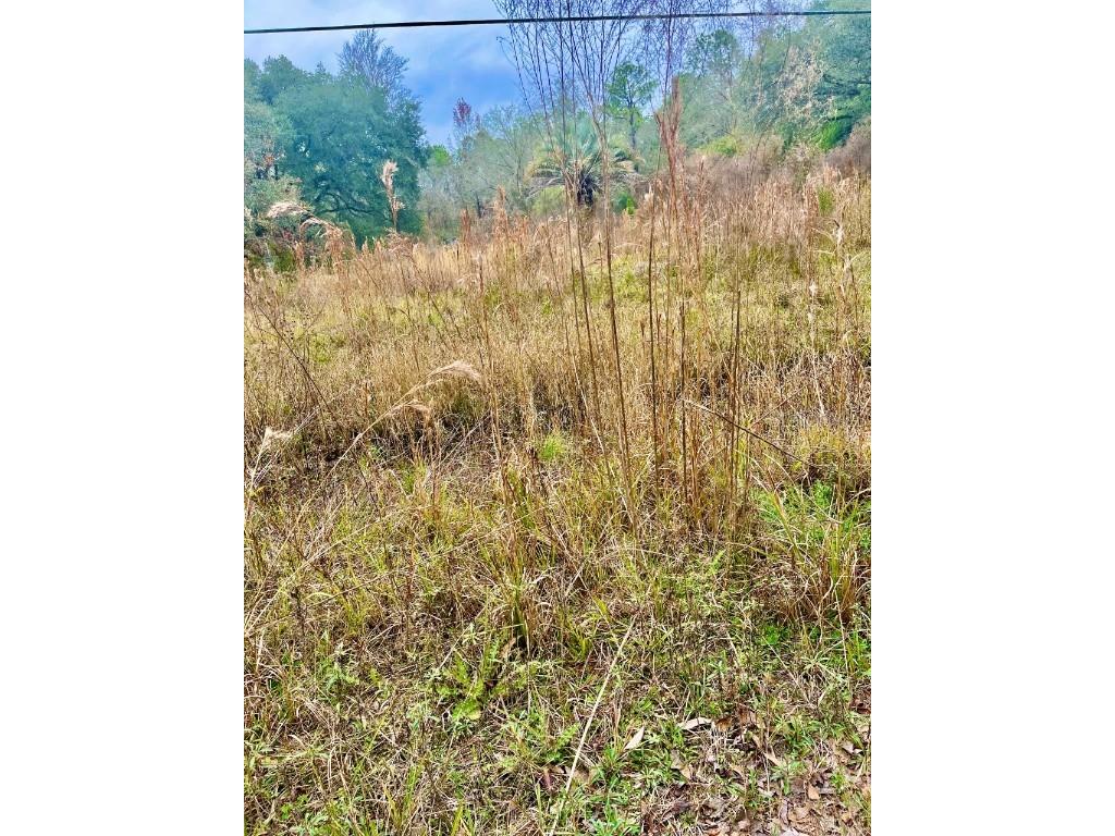 000 NE 74th Terrace Gainesville FL 32609 GC504513 image1