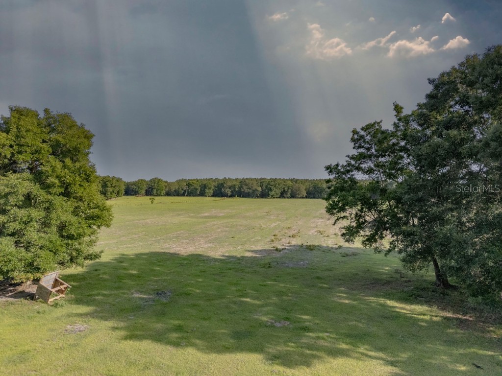 000 NE 75 Street Williston FL 32696 OM701978 image1