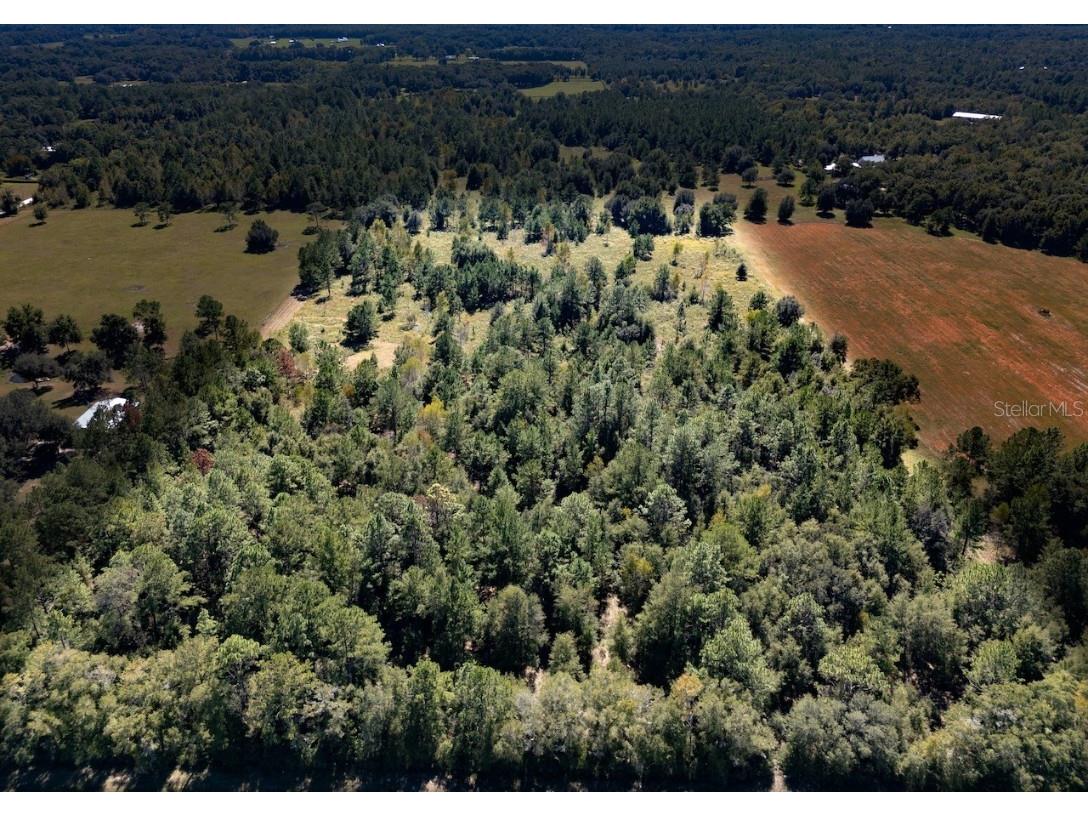 000 NE 75 Street Williston FL 32696 OM711759 image1