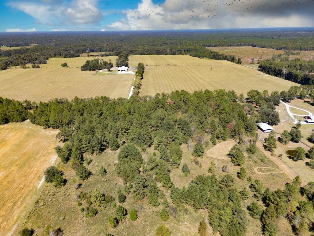 000 NE 75 Street Williston FL 32696 OM711759 image10