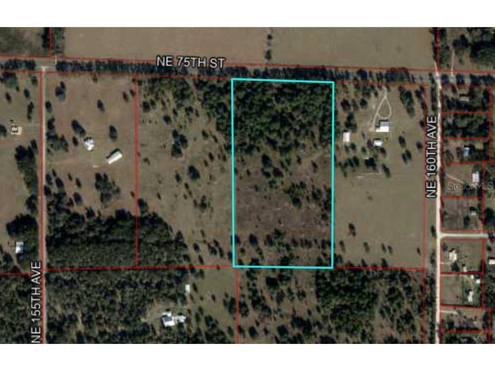 000 NE 75 Street Williston FL 32696 OM711759 image11