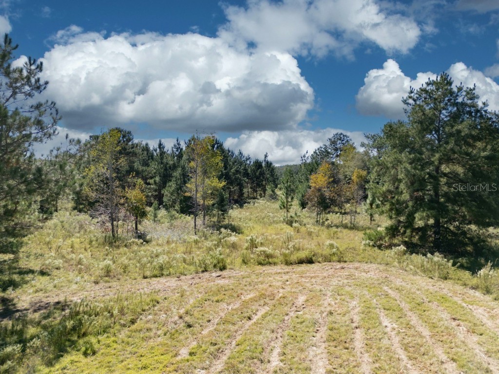 000 NE 75 Street Williston FL 32696 OM711759 image2