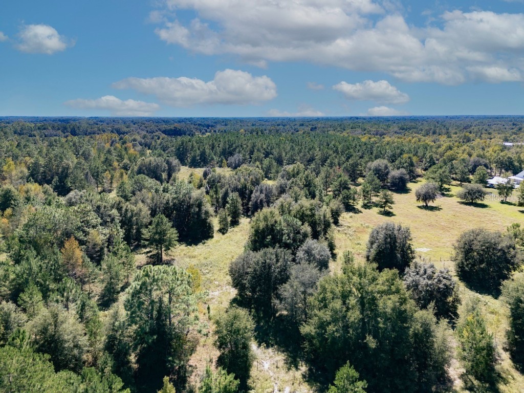 000 NE 75 Street Williston FL 32696 OM711759 image3