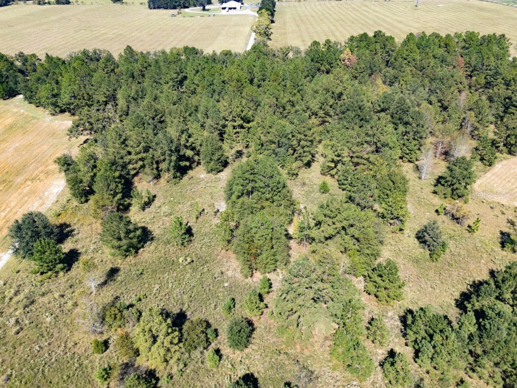 000 NE 75 Street Williston FL 32696 OM711759 image4