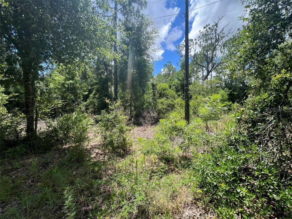 000 NE 822nd Street Old Town FL 32680 GC528040 image2