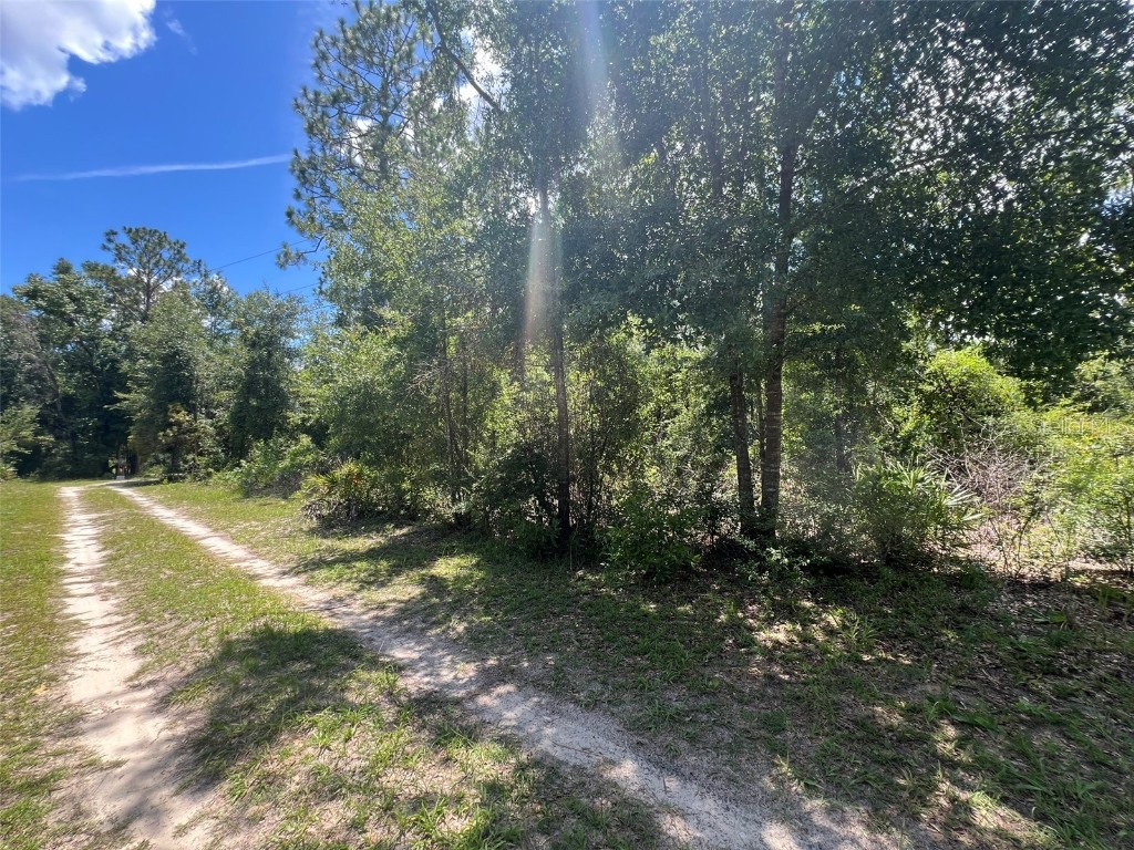 000 NE 822nd Street Old Town FL 32680 GC528040 image3