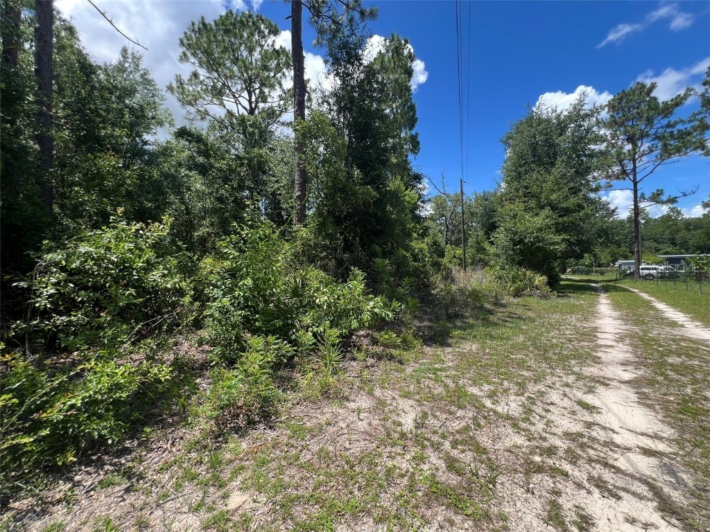 000 NE 822nd Street Old Town FL 32680 GC528040 image4