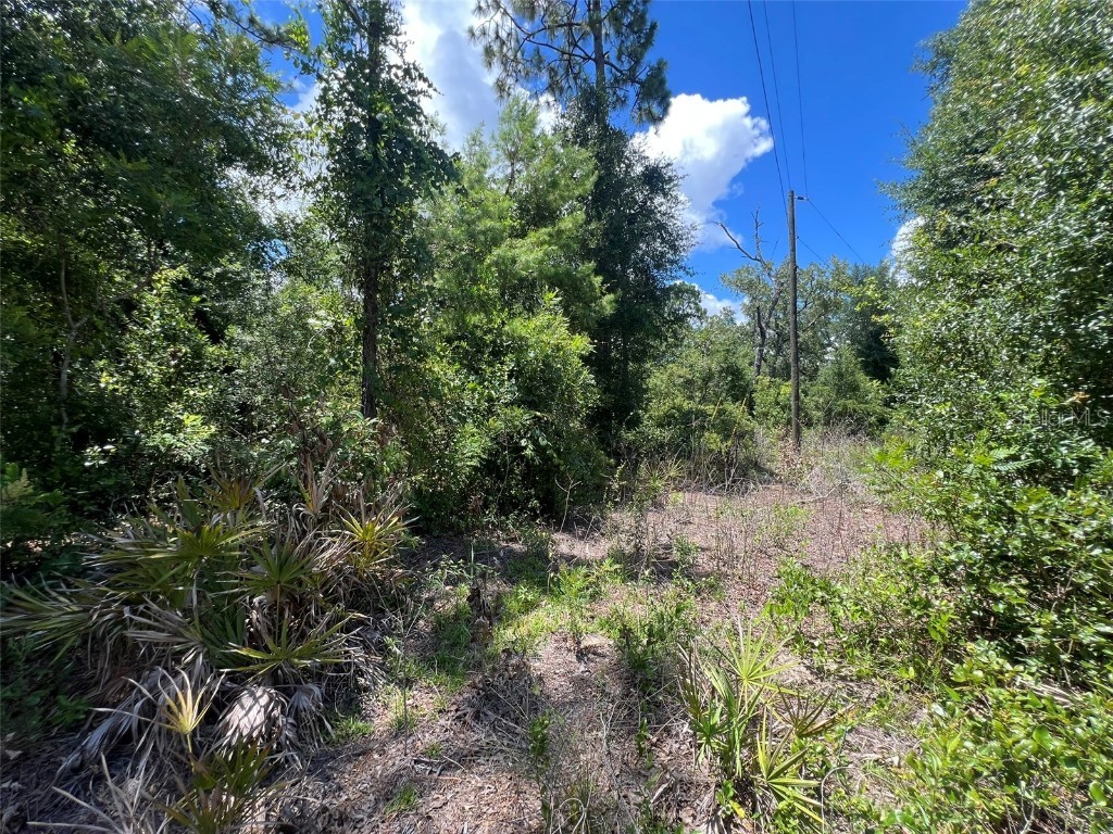 000 NE 822nd Street Old Town FL 32680 GC528040 image5