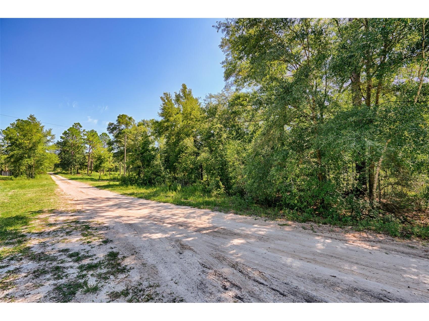 000 NE 82nd Place Bronson FL 32621 GC541229 image2