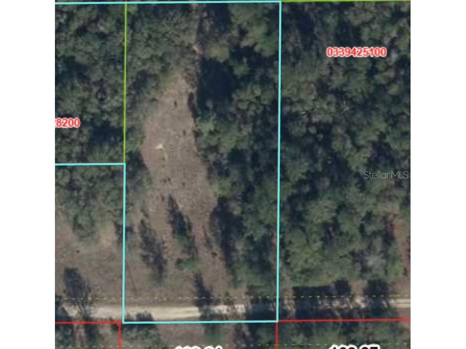 000 NE 82nd Place Bronson FL 32621 GC541229 image4
