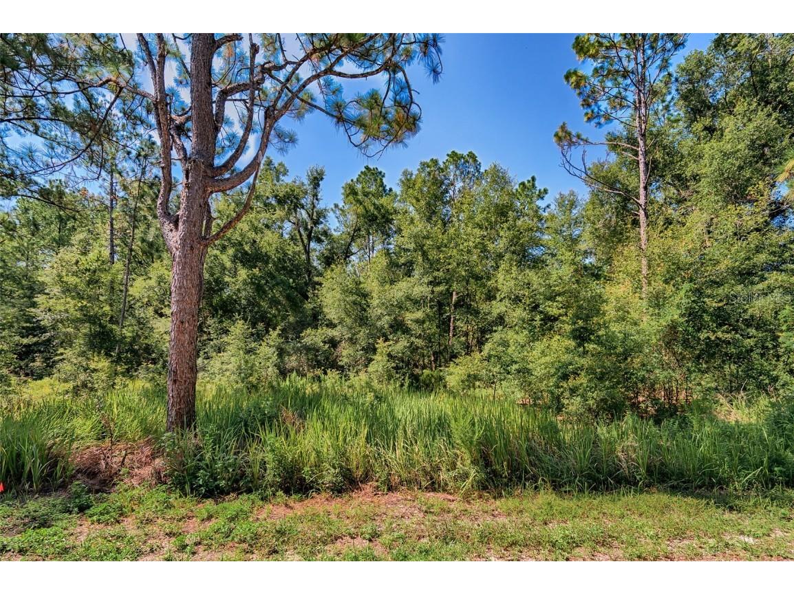 000 NE 83rd Lane Bronson FL 32621 GC532908 image7