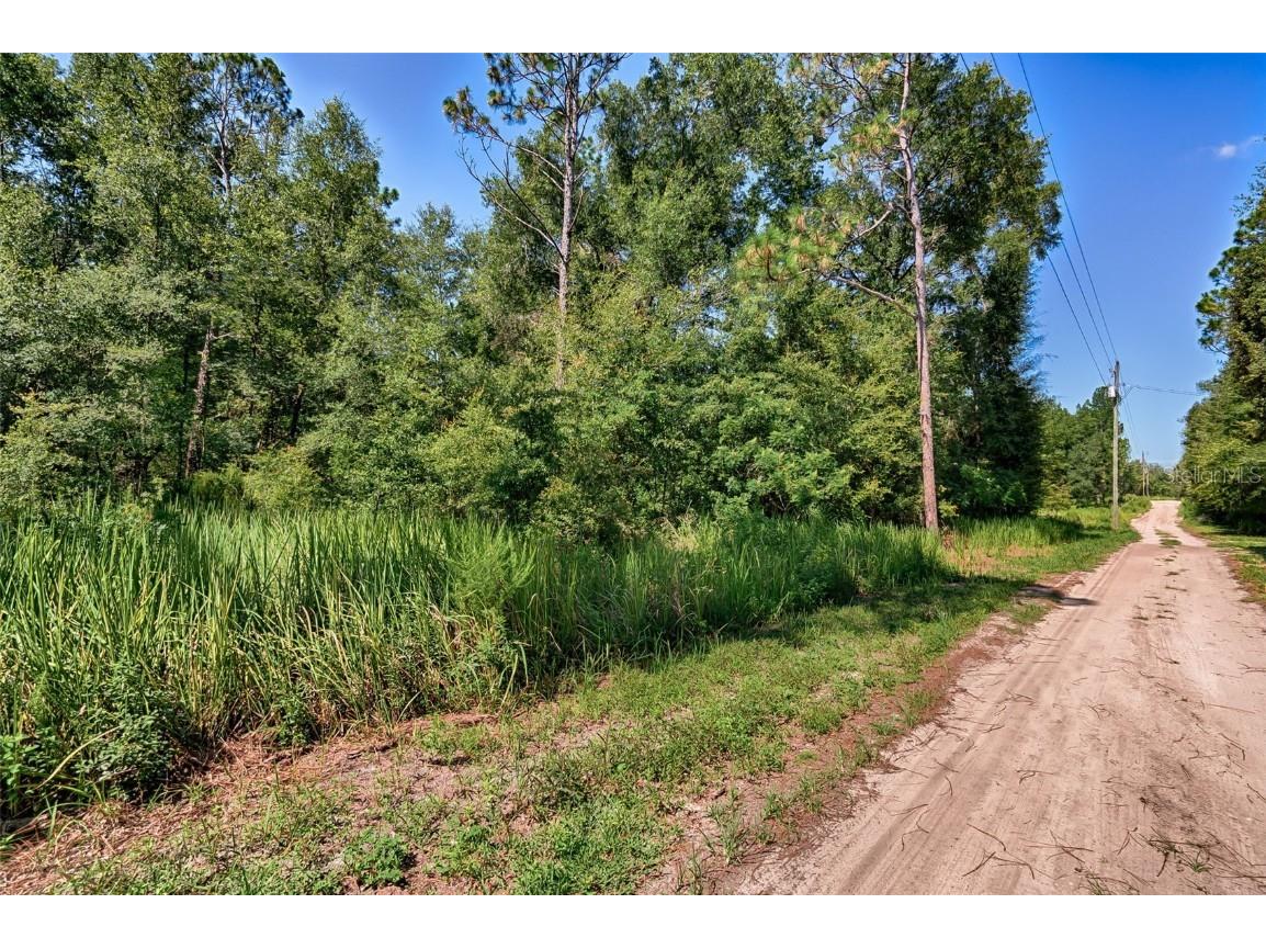 000 NE 83rd Lane Bronson FL 32621 GC532908 image8