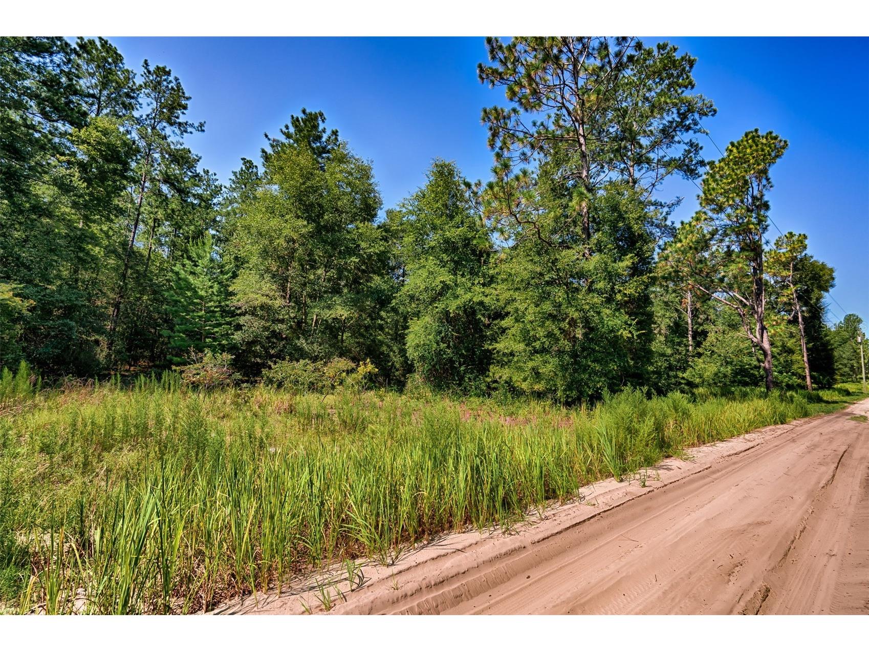 000 NE 83rd Lane Bronson FL 32621 GC541225 image2