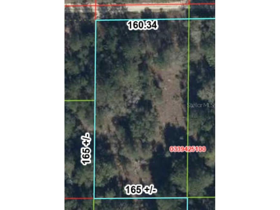 000 NE 83rd Lane Bronson FL 32621 GC541225 image3