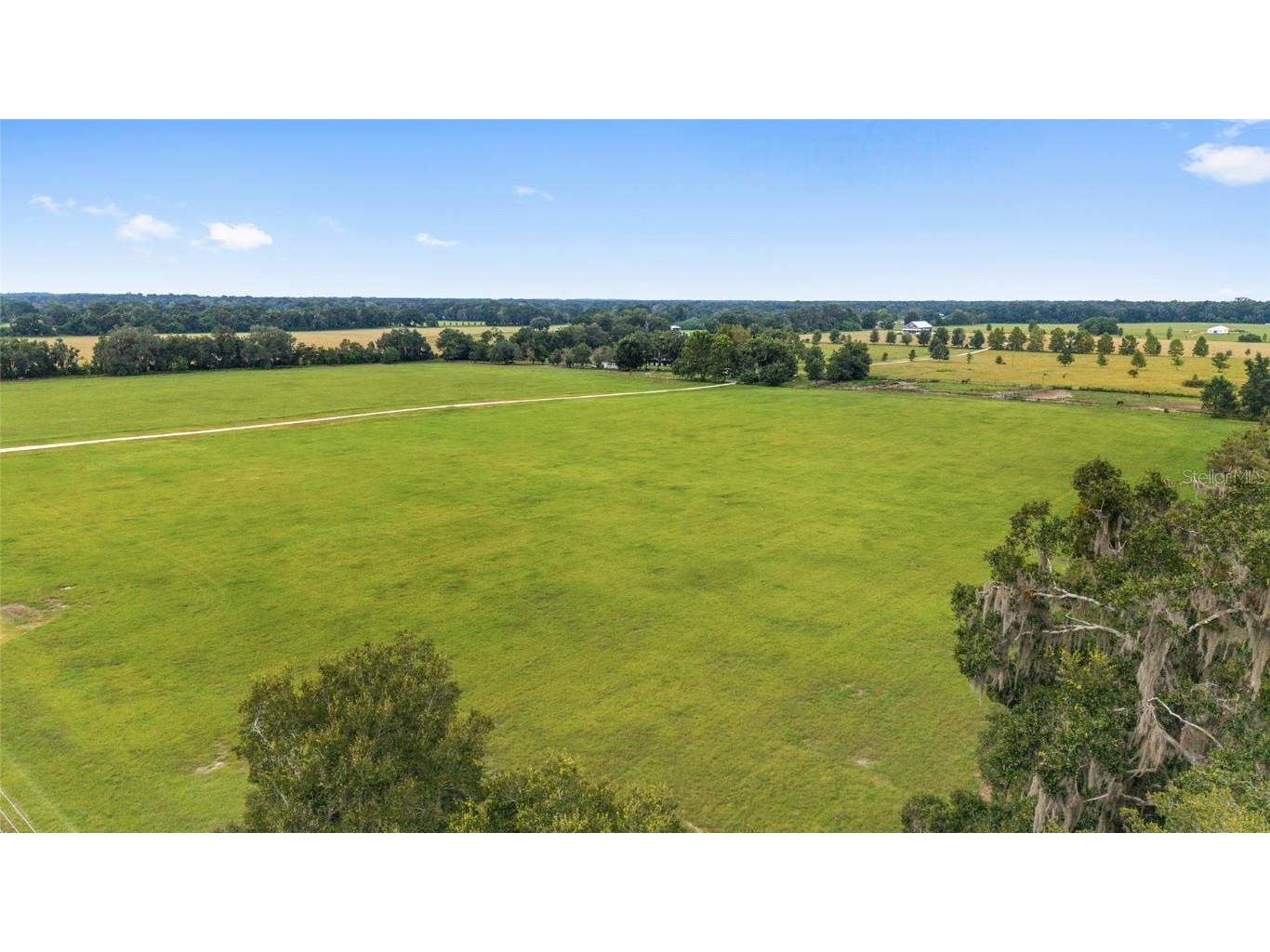 000 Ne 8th Citra FL 32113 OM709515 image10