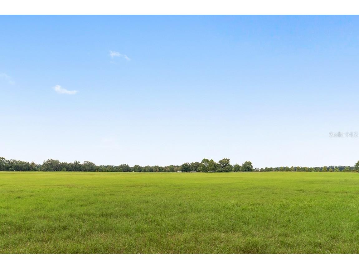 000 Ne 8th Citra FL 32113 OM709515 image6