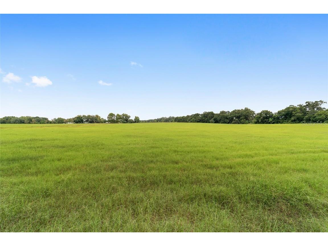 000 Ne 8th Citra FL 32113 OM709515 image7