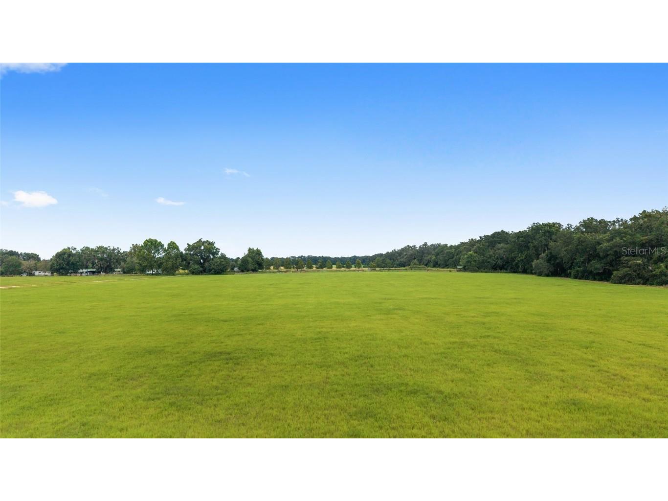 000 Ne 8th Citra FL 32113 OM709515 image8