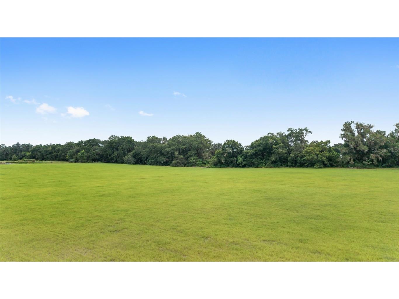 000 Ne 8th Citra FL 32113 OM709515 image9