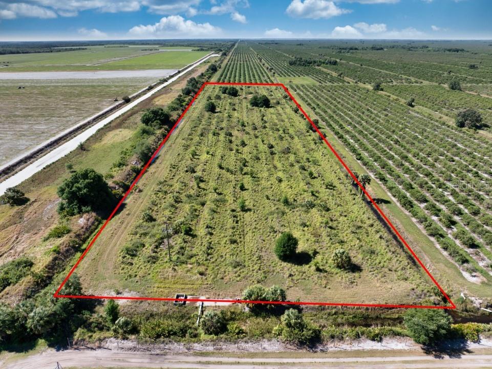 000 NE Highway 70 Arcadia FL 34266 O6197170 image1