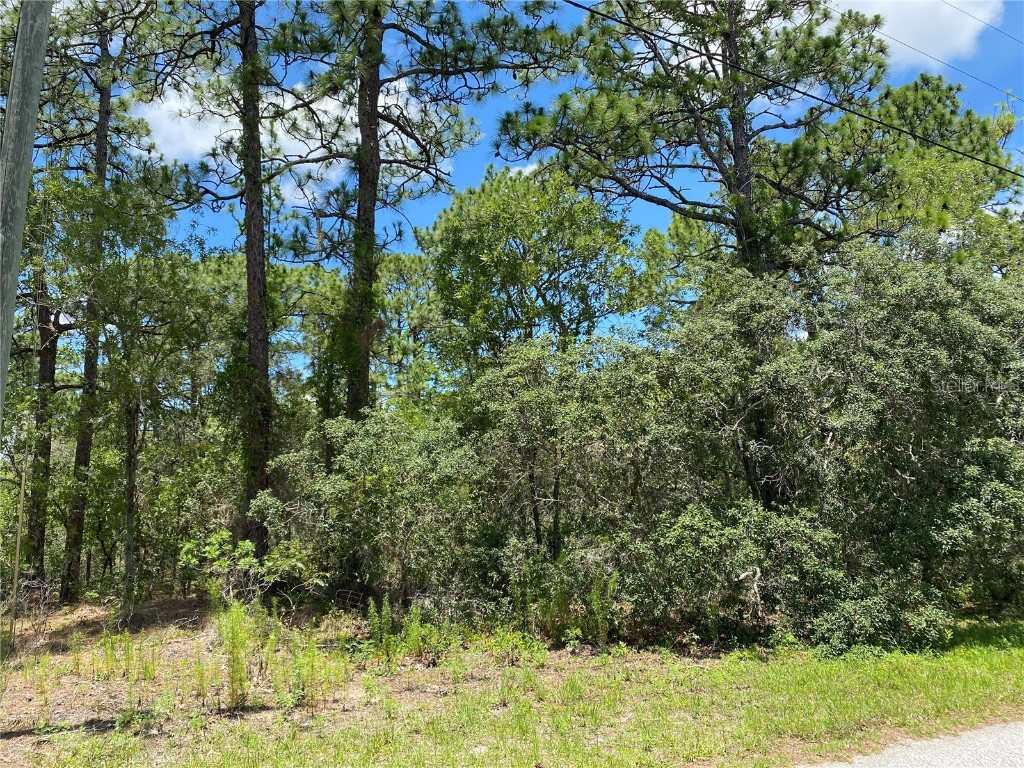 000 Nocklyn Rd Spring Hill FL 34609 G5069962 image1