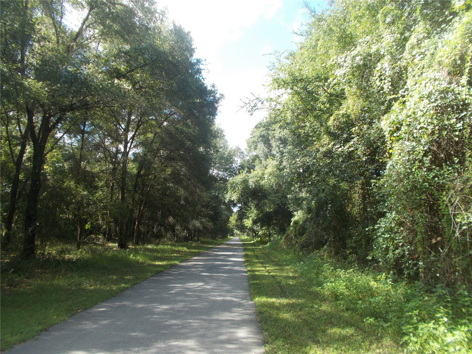 000 Norman Street Webster FL 33597 W7885152 image12