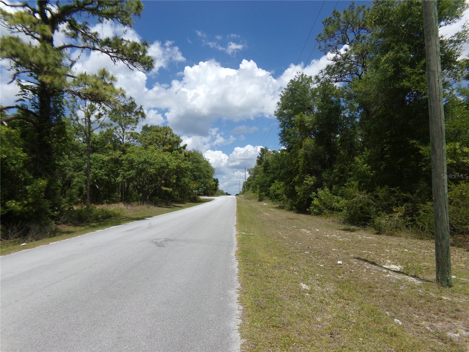 000 Norman Street Webster FL 33597 W7885152 image5